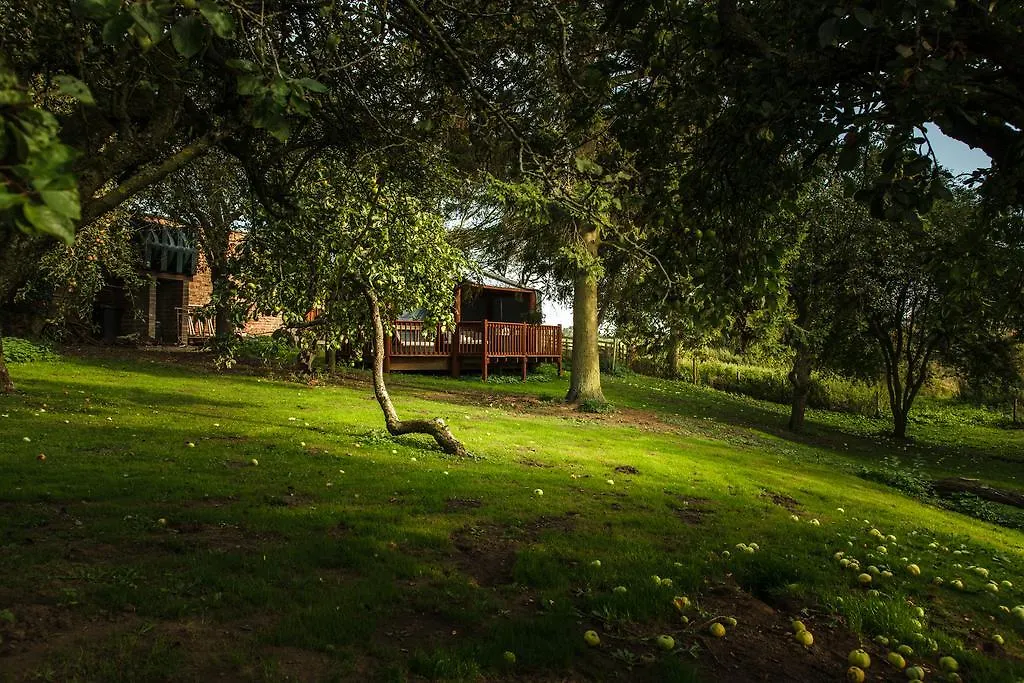 Newsham Grange Farm Bed & Breakfast Thirsk